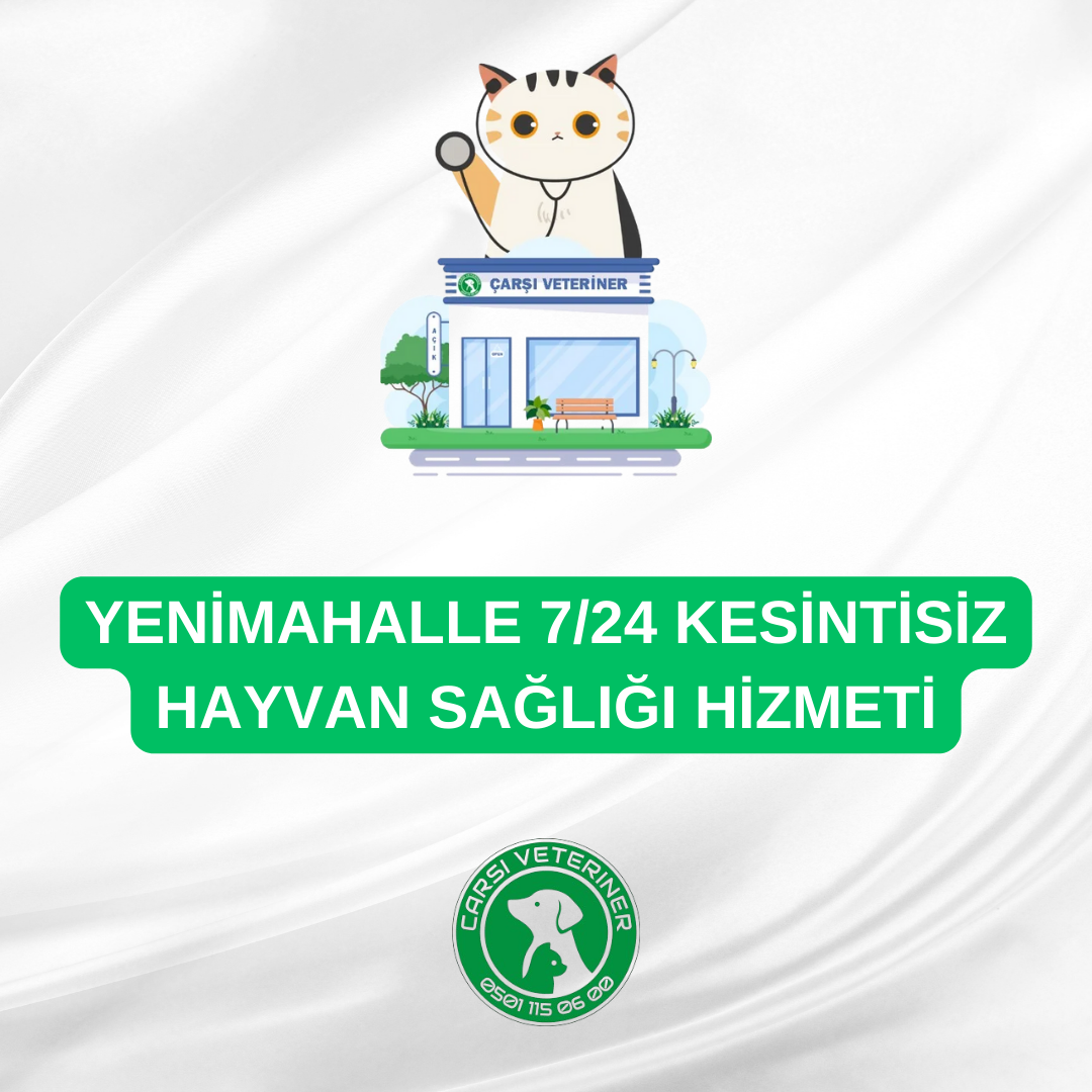 Yenimahalle 7/24 Kesintisiz Hayvan Sağlığı Hizmeti