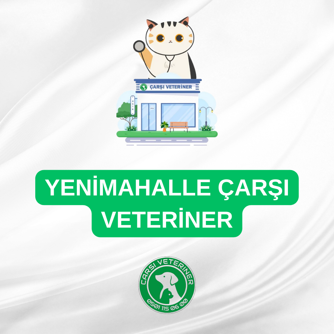  Yenimahalle Çarşı Veteriner