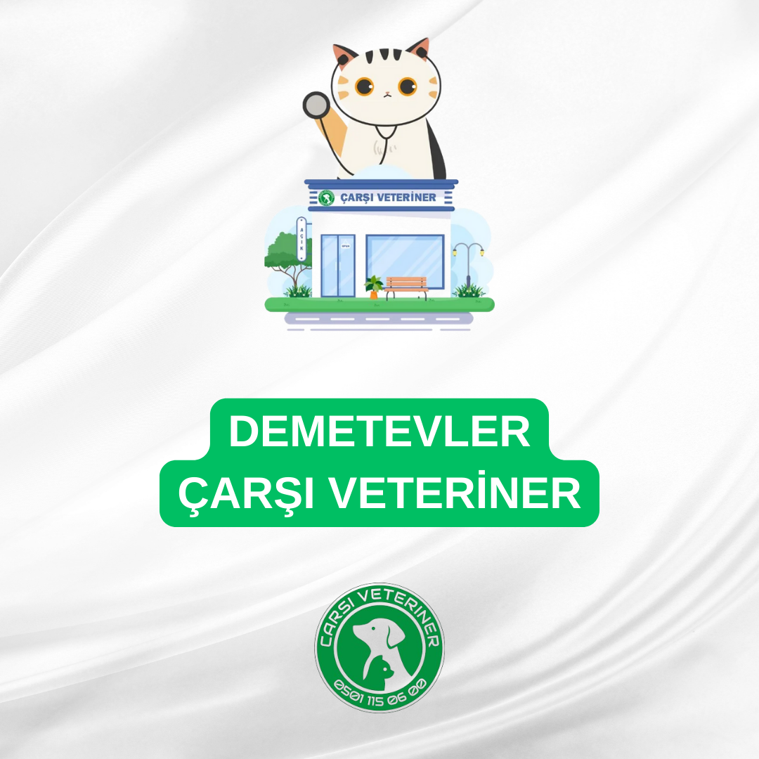  Demetevler Veteriner
