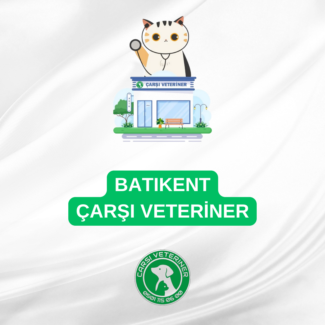  Batıkent Veteriner