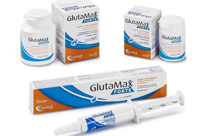 CANDİOLİ GLUTAMAX FORTE